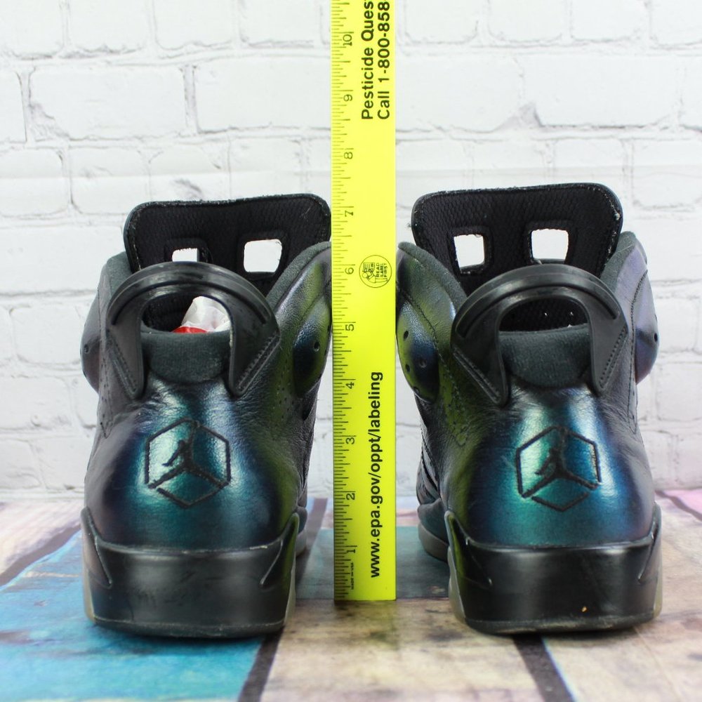 Nike Air Jordan Retro 6 All Star Chameleon Sneaker - Picture 6 of 9